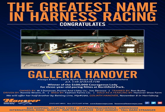 Galleria Hanover